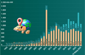 Thương mại song phương Việt Nam - Nam Phi