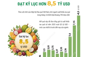 Xuất khẩu rau quả 'lội ngược dòng' ấn tượng, đạt kỷ lục 8,5 tỷ USD trong năm 2025