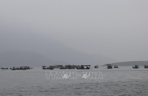 Siết chặt quản lý, phòng ngừa tai nạn giao thông đường thủy