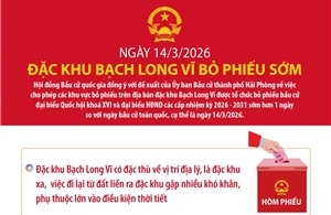 Ngày 14/3/2026, đặc khu Bạch Long Vĩ bỏ phiếu sớm