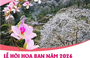 Lễ hội Hoa Ban năm 2026: Điểm hẹn mùa Xuân hấp dẫn
