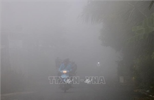 Xuất hiện sương mù dày đặc tại An Giang