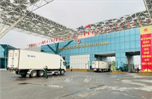 Sôi động ngày đầu thí điểm thông quan hàng hóa xuyên cuối tuần tại Cửa khẩu Quốc tế Móng Cái