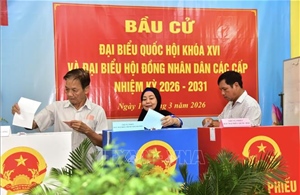 Cử tri Thành phố Hồ Chí Minh đi bỏ phiếu đạt tỷ lệ 96,67%