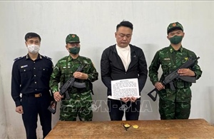 Bắt vụ vận chuyển vàng trái phép qua Cửa khẩu quốc tế Móng Cái