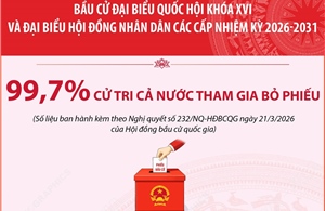 Bầu cử Quốc hội và HĐND: 99,70% cử tri cả nước tham gia bỏ phiếu