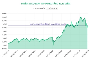 Phiên 25/3/2026: VN-Index tăng 43,42 điểm