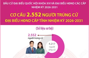 Cơ cấu 2.552 người trúng cử đại biểu HĐND cấp tỉnh nhiệm kỳ 2026-2031