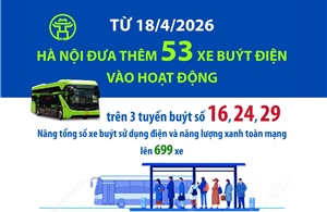 Từ 18/4/2026, Hà Nội đưa thêm 53 xe buýt điện vào hoạt động