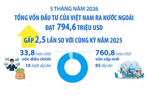 5 tháng năm 2026: Đầu tư của Việt Nam ra nước ngoài đạt 794,6 triệu USD