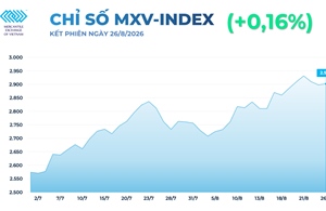 Thị trường hàng hóa thế giới tiếp tục biến động, MXV-Index trở lại vùng 2.900 điểm