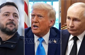 Triển vọng hòa bình sau vụ Nga cáo buộc Ukraine tấn công nơi ở của Tổng thống Putin