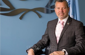 Tổ chức Hàng hải Quốc tế lên tiếng về vấn đề thu phí ở eo biển Hormuz