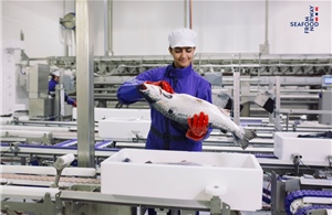 Nguồn gốc món sushi cá hồi Na Uy được yêu thích tại Việt Nam