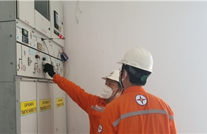 Điện lực TP.HCM: Cấp điện an toàn, ổn định trong 6 tháng đầu năm 