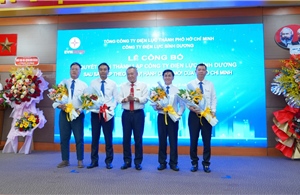 Điện lực Thành phố Hồ Chí Minh sắp xếp, tinh gọn các công ty điện lực 