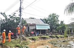 Công ty Điện lực Lâm Đồng huy động toàn lực kịp thời ứng phó mưa lũ