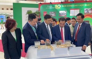 Masan giới thiệu giải pháp phát triển xanh tại Triển lãm 80 năm ngành Nông nghiệp và Môi trường