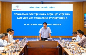Đoàn công tác EVN làm việc với EVNGENCO3 về công tác bảo vệ môi trường và sản xuất điện