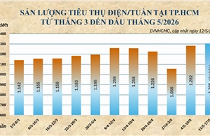 Nắng nóng kéo dài, tiêu thụ điện tại Thành phố Hồ Chị Minh tiếp tục tăng cao 