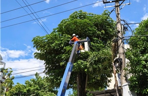 PC Quảng Ngãi chủ động phương án, đảm bảo cấp điện an toàn, liên tục dịp Quốc khánh 2/9