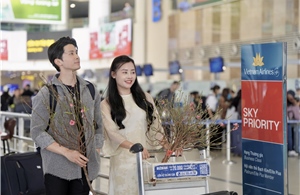 Vietnam Airlines vận chuyển mai đào Tết Nguyên đán Bính Ngọ 2026
