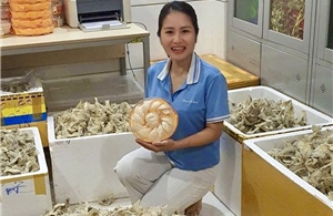 Tìm lại niềm tin và hướng đi cho doanh nghiệp yến sào Việt Nam