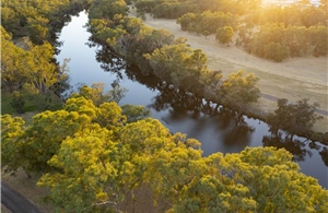 Thưởng thức rượu vang hảo hạng tại thung lũng Swan, Tây Australia