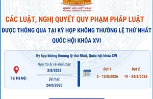 Các luật, nghị quyết quy phạm pháp luật được thông qua tại Kỳ họp không thường lệ thứ Nhất, Quốc hội khóa XVI