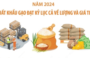 Năm 2024: Xuất khẩu gạo đạt kỷ lục cả về lượng và giá trị