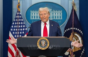 Mỹ phối hợp Nigeria không kích mục tiêu IS