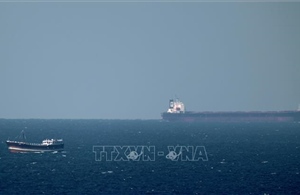 Mỹ bảo hiểm 20 tỷ USD để khuyến khích tàu hàng qua eo biển Hormuz