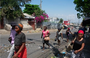 Trên 20.000 người Haiti phải di dời do bạo lực băng nhóm tội phạm