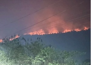 Cháy rừng thiêu rụi vùng đất rộng lớn ở Lào