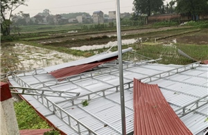 Thái Nguyên: Khẩn trương khắc phục thiệt hại do mưa dông