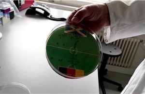 Dùng vi khuẩn E.coli để dự đoán kết quả trận đấu EURO 2024