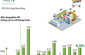 CPI tháng 12/2024 tăng 0,29%