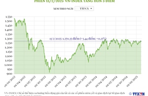Phiên 13/2/2025: VN-Index tăng hơn 3 điểm