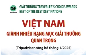 Việt Nam giành nhiều hạng mục giải thưởng quan trọng của Tripadvisor