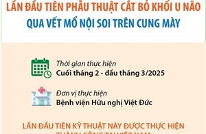 Lần đầu tiên phẫu thuật cắt bỏ khối u não qua vết mổ nội soi trên cung mày