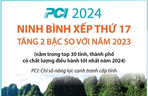 PCI năm 2024: Ninh Bình xếp thứ 17, tăng 2 bậc so với năm 2023