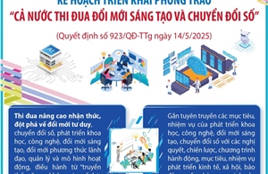 Kế hoạch triển khai Phong trào &#39;Cả nước thi đua đổi mới sáng tạo và chuyển đổi số&#39;