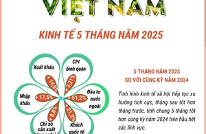Kinh tế Việt Nam 5 tháng năm 2025