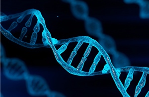 Phát hiện 17 triệu biến thể di truyền mới trong bộ gene của người Ai Cập