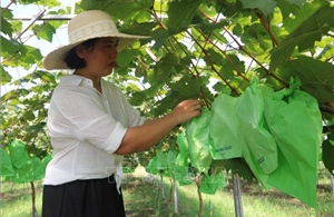 Khởi nghiệp thành công từ mô hình nông nghiệp tuần hoàn