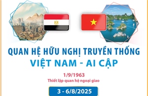 Quan hệ hữu nghị truyền thống Việt Nam - Ai Cập