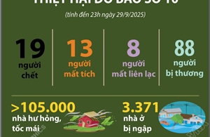 Thiệt hại do bão số 10 (tính đến 23h ngày 29/9/2025)