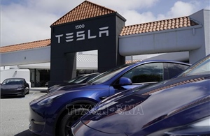 Tesla dồn lực cho cuộc đua robot và AI