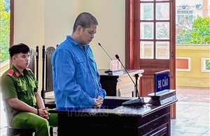 Phạt tù 'cò lúa' lừa tiền của thương lái