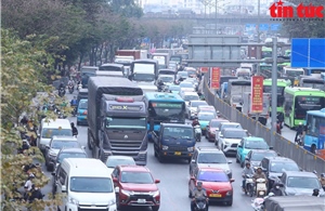 Hà Nội: Đề xuất cho phép dòng xe ô tô tải Pickup được lưu thông như xe ô tô con